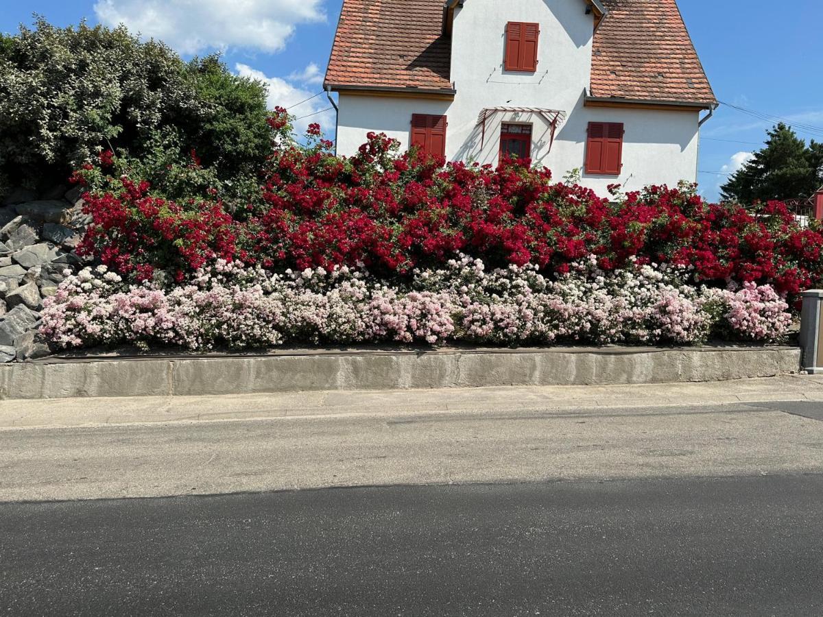 Apartmán Au Parfum Des Roses Gunstett Exteriér fotografie