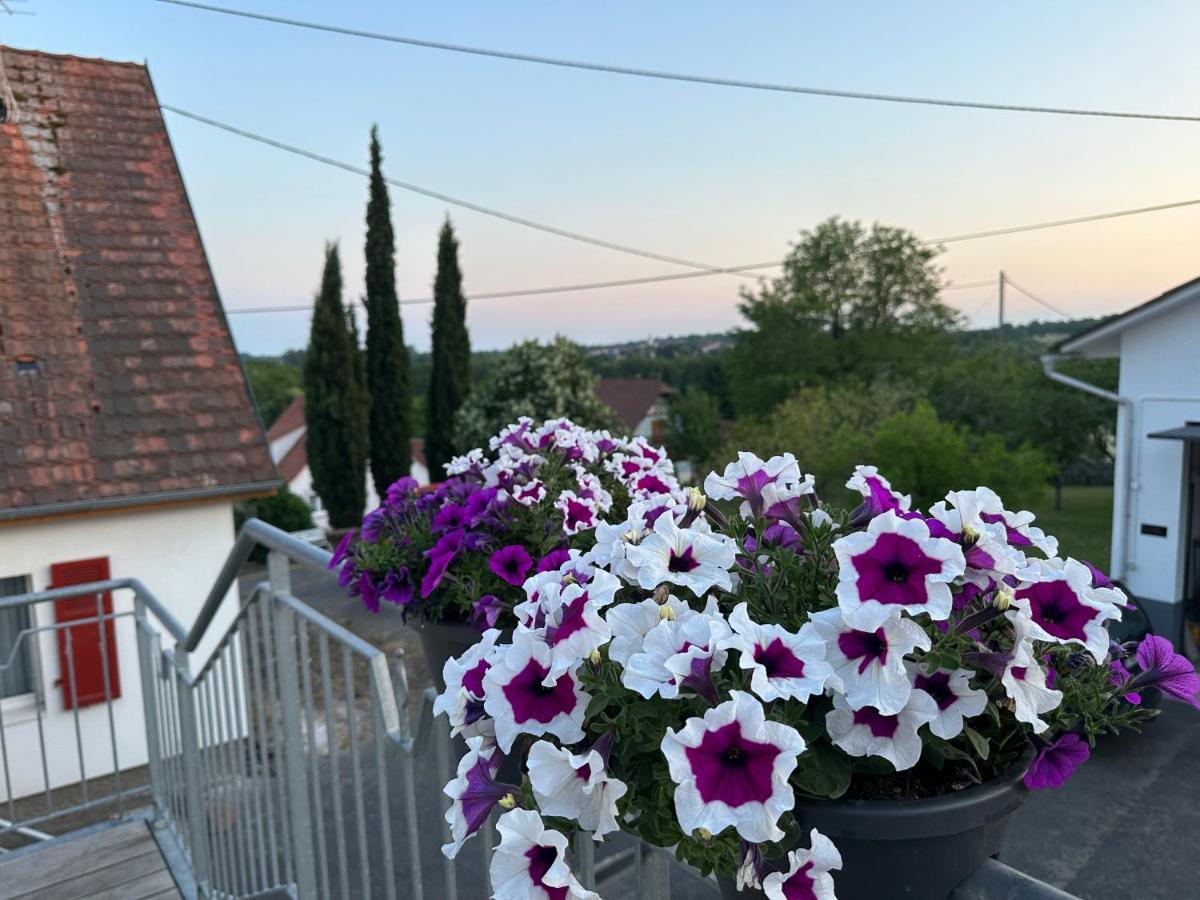 Apartmán Au Parfum Des Roses Gunstett Exteriér fotografie