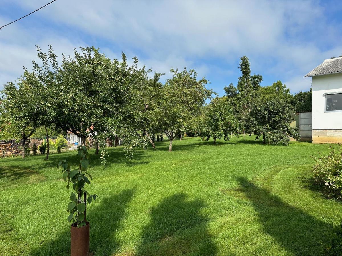 Apartmán Au Parfum Des Roses Gunstett Exteriér fotografie