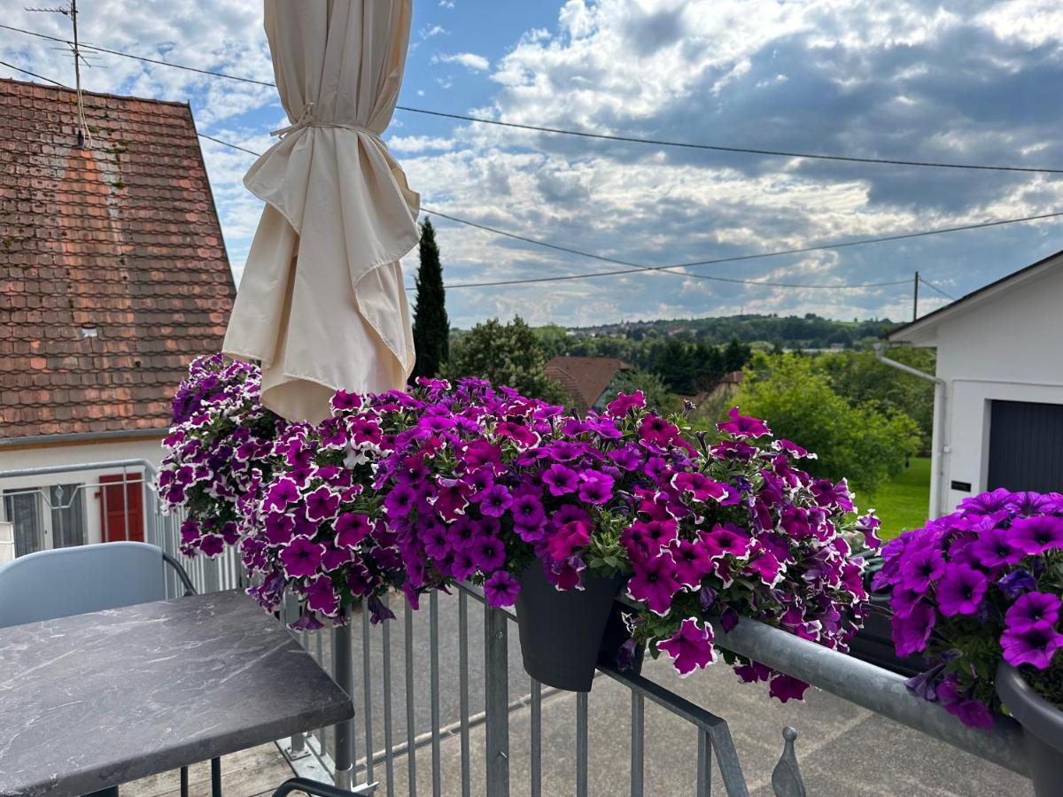 Apartmán Au Parfum Des Roses Gunstett Exteriér fotografie